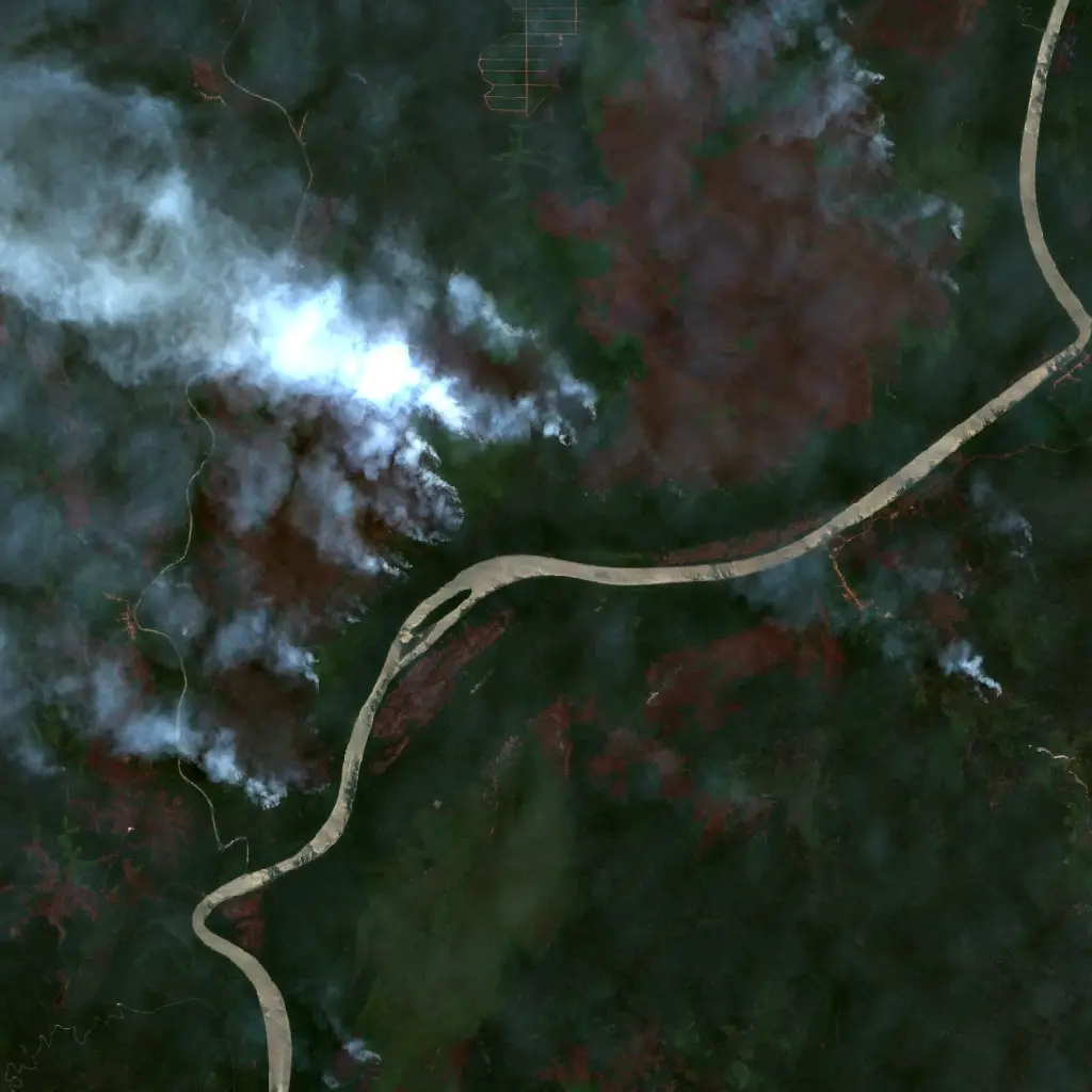After — Boven Digoel (Sentinel-2, 2026-10-06)