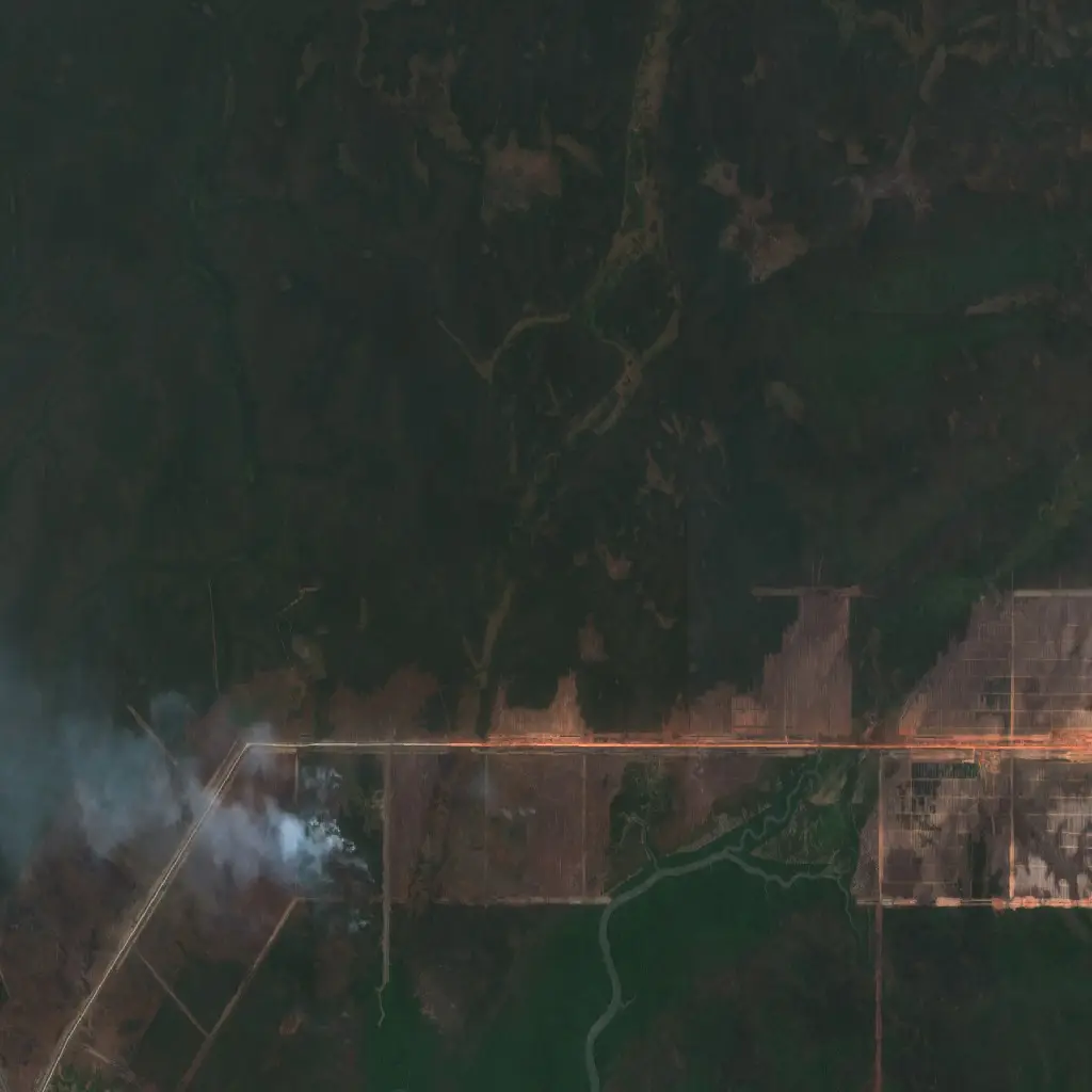 Before — Merauke (Sentinel-2, 2026-09-06)