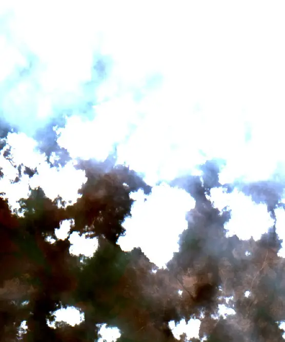 After — Ketapang (Sentinel-2, 2026-10-22)
