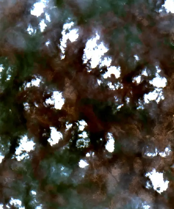 Before — Ketapang (Sentinel-2, 2026-09-24)