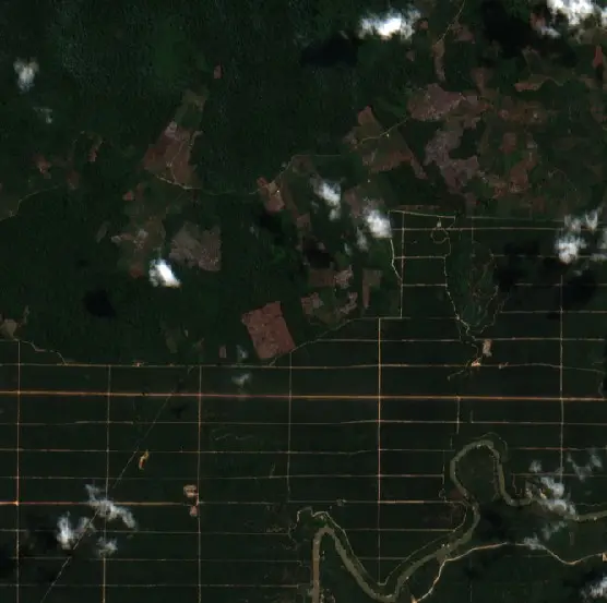 Before —  (Sentinel-2, 2026-08-08)