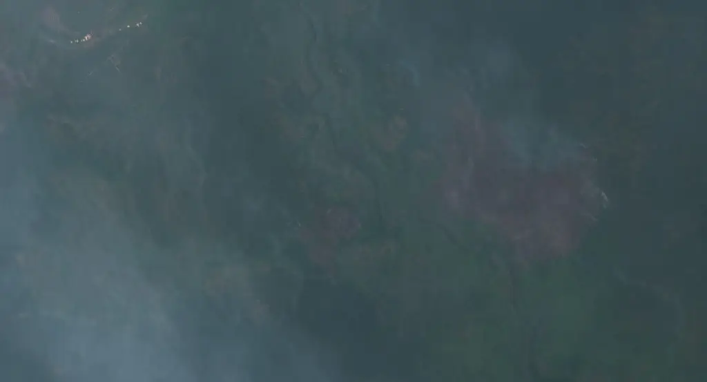 Before —  (Sentinel-2, 2026-09-11)