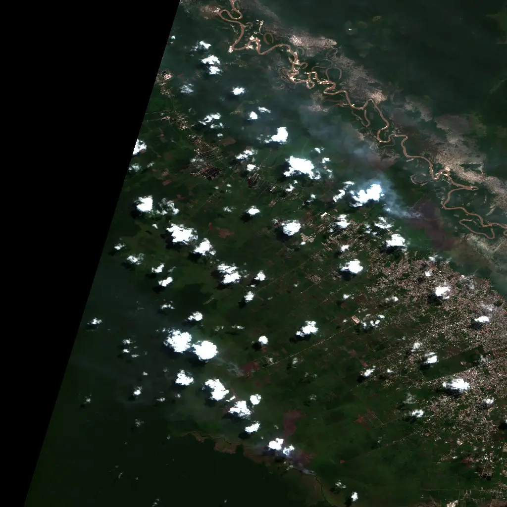 Before — Palangka Raya (Sentinel-2, 2026-08-12)