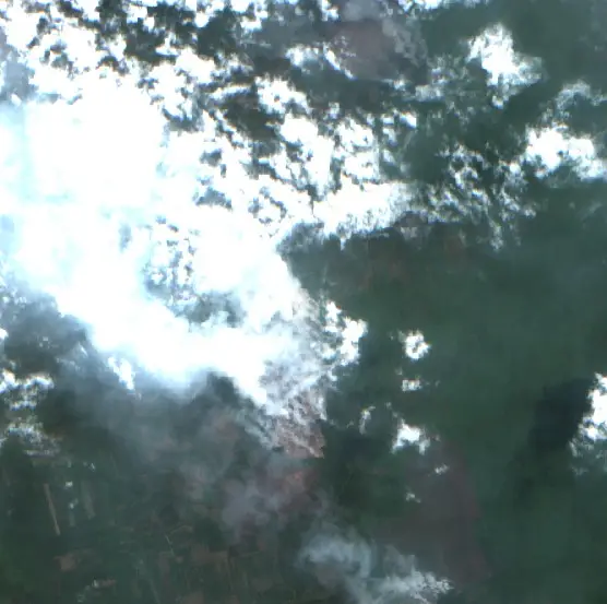 After — Kotawaringin Timur (Sentinel-2, 2026-09-14)