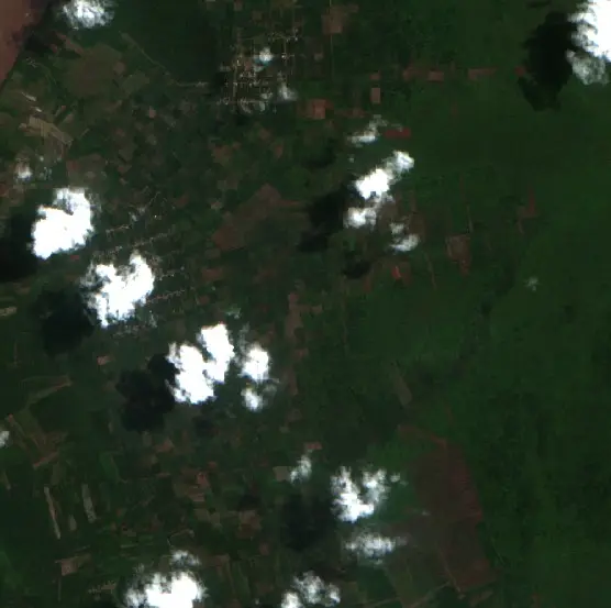 Before — Kotawaringin Timur (Sentinel-2, 2026-08-20)