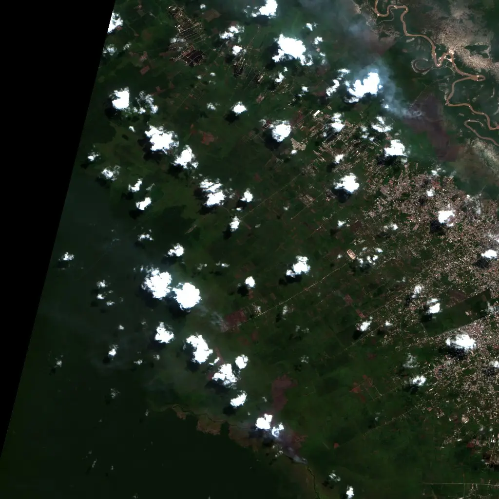 Before —  (Sentinel-2, 2026-08-12)