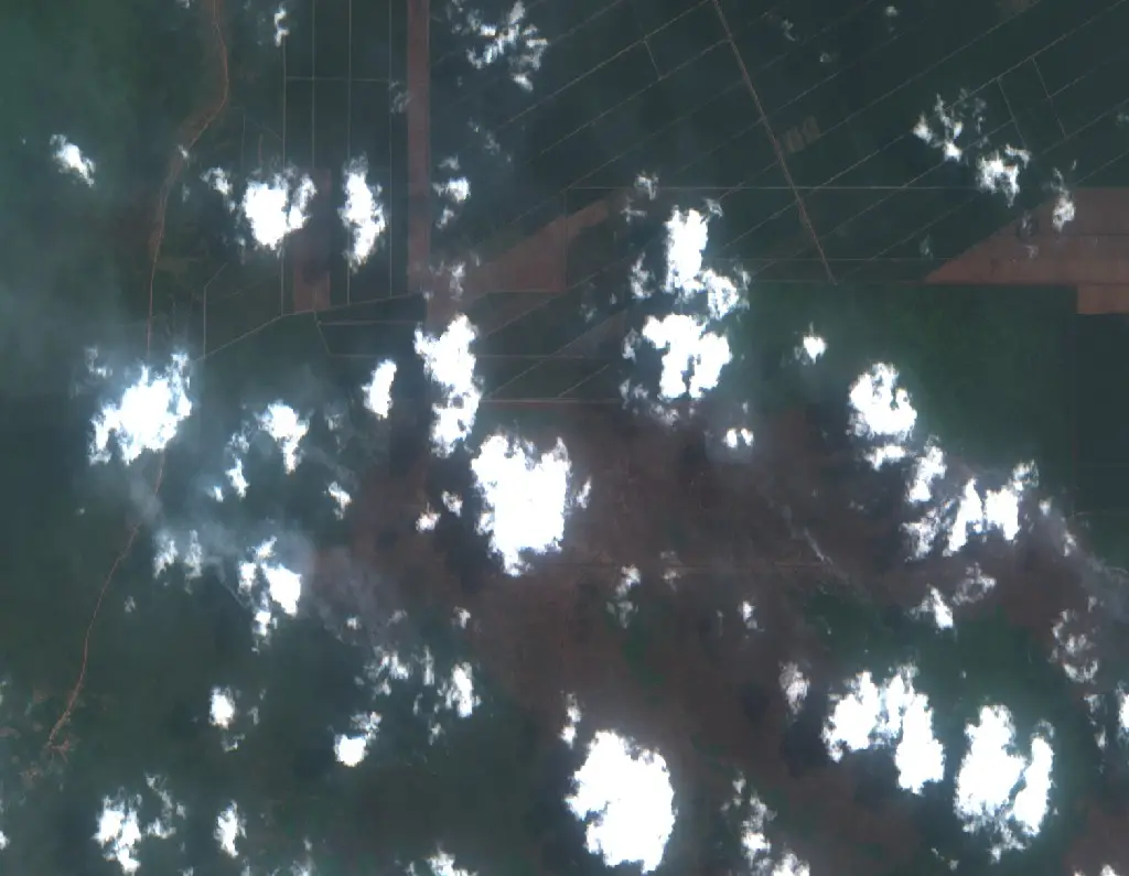 Before — Pangkalan Lampam (Sentinel-2, 2026-09-08)