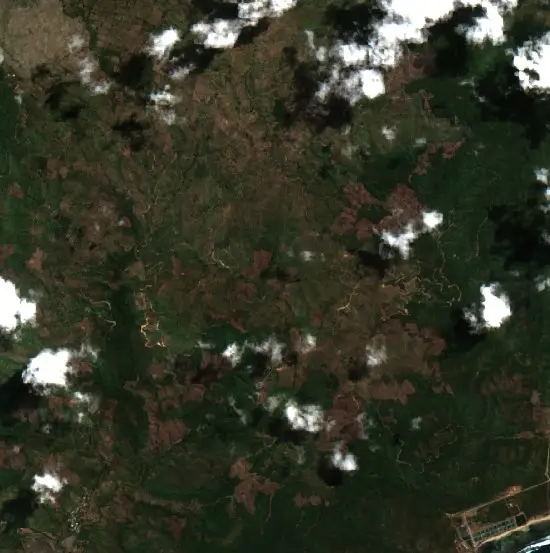 Before — Bima (Sentinel-2, 2026-08-21)