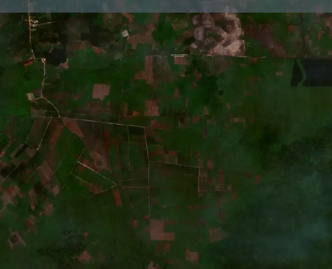 Before —  (Sentinel-2, 2026-09-08)