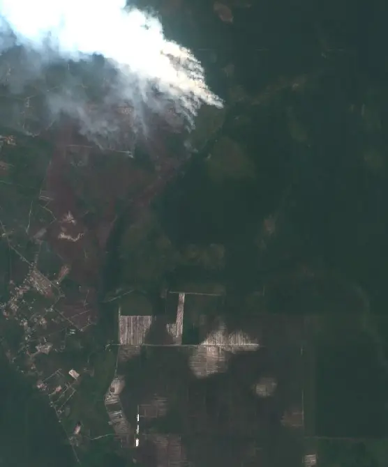 After — Pulang Pisau (Sentinel-2, 2026-09-11)