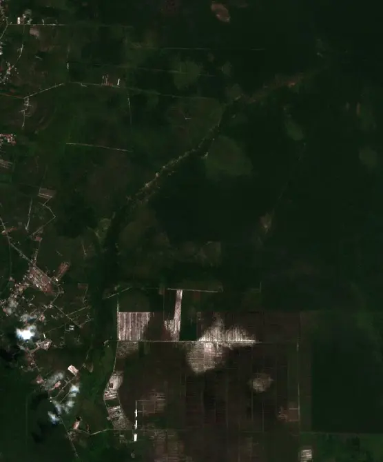 Before — Pulang Pisau (Sentinel-2, 2026-08-12)