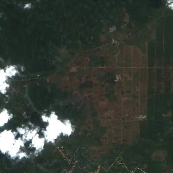 Before —  (Sentinel-2, 2026-09-26)