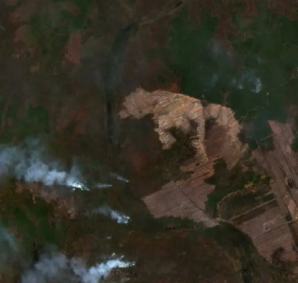 Before — Merauke (Sentinel-2, 2026-10-05)