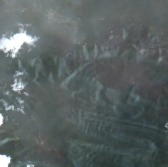 After — Enarotali (Sentinel-2, 2026-10-09)