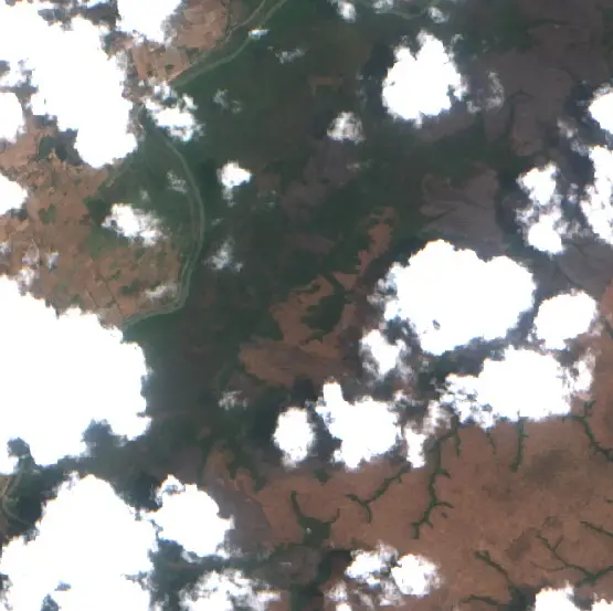After — Lampung Timur (Sentinel-2, 2026-10-15)