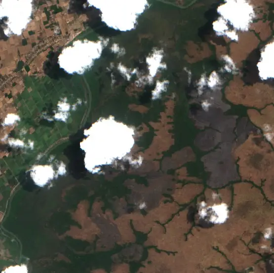 Before — Lampung Timur (Sentinel-2, 2026-09-30)