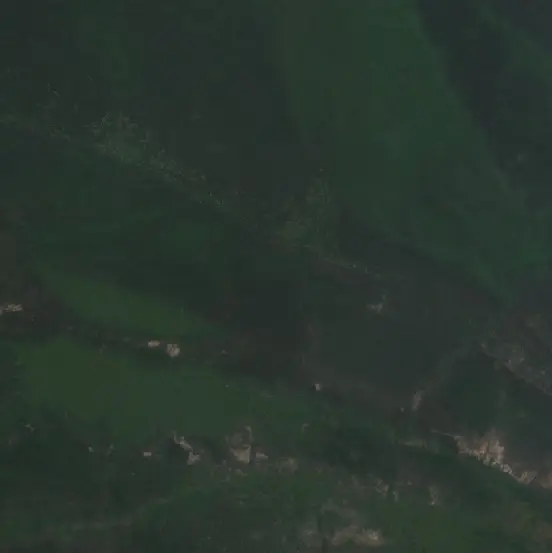 Before — Merauke (Sentinel-2, 2026-09-06)