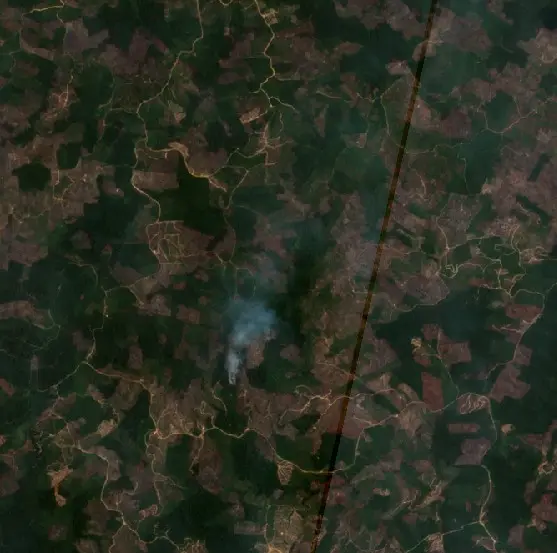 Before — Kutai Timur (Sentinel-2, 2026-08-29)