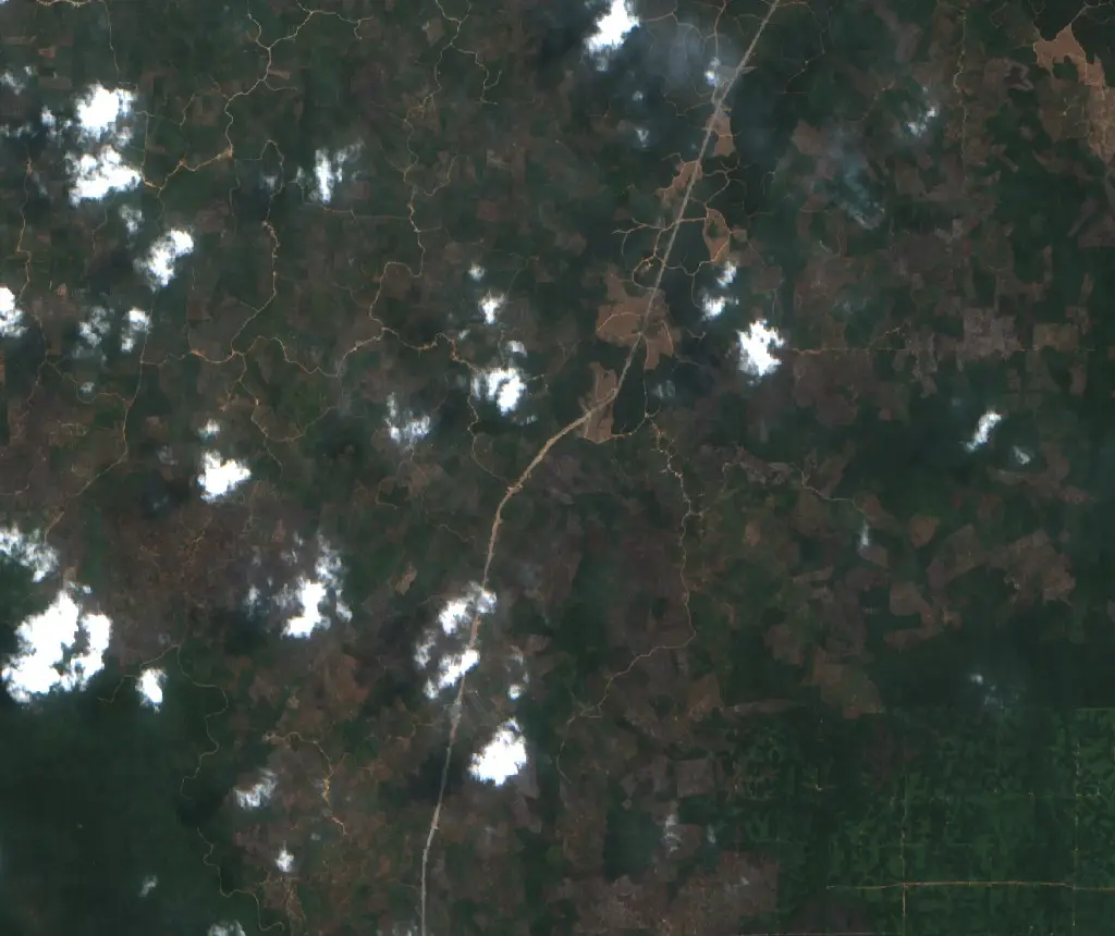 After — Tungkal Jaya (Sentinel-2, 2026-09-03)