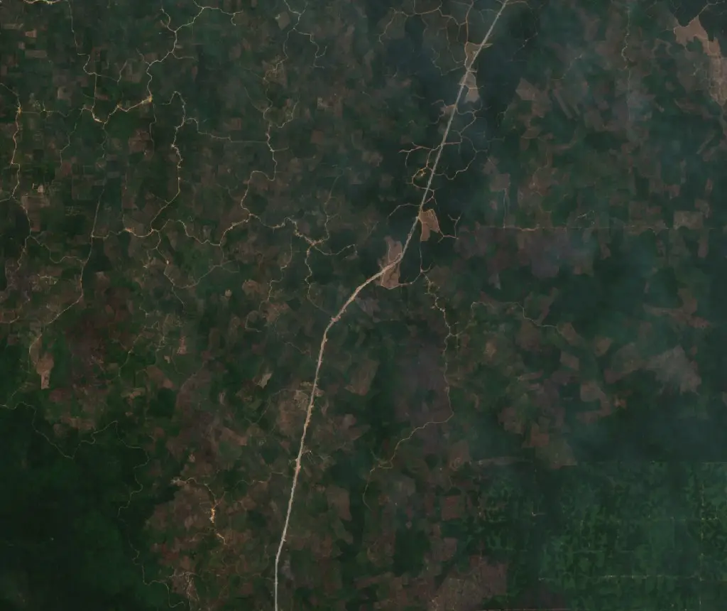 Before — Tungkal Jaya (Sentinel-2, 2026-08-22)