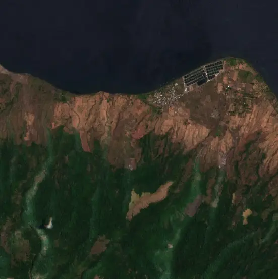 After — Bima (Sentinel-2, 2026-10-15)