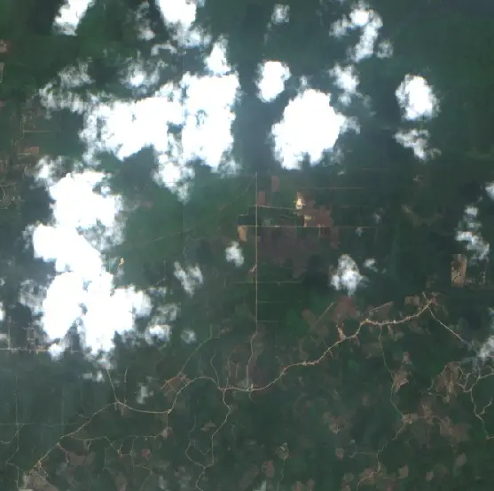 After — Kutai Timur (Sentinel-2, 2026-09-23)
