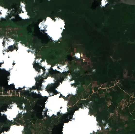 Before — Kutai Timur (Sentinel-2, 2026-09-13)