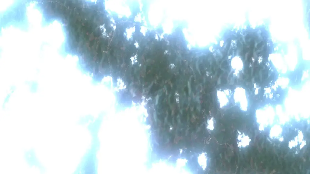 After — Ketapang (Sentinel-2, 2026-10-02)