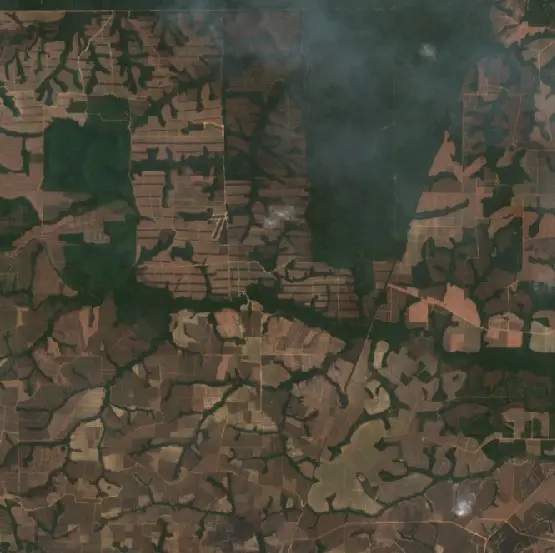 Before — Way Kanan (Sentinel-2, 2026-09-08)