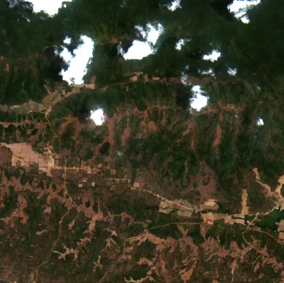 After — Bombana (Sentinel-2, 2026-10-09)