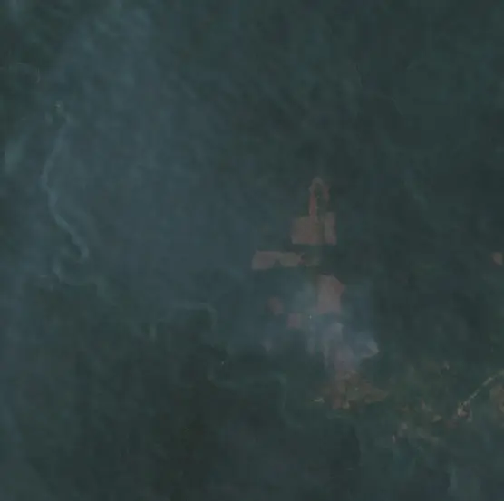 Before —  (Sentinel-2, 2026-08-29)