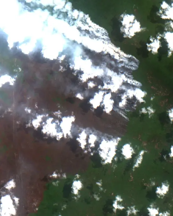 After — Kotawaringin Barat (Sentinel-2, 2026-09-11)