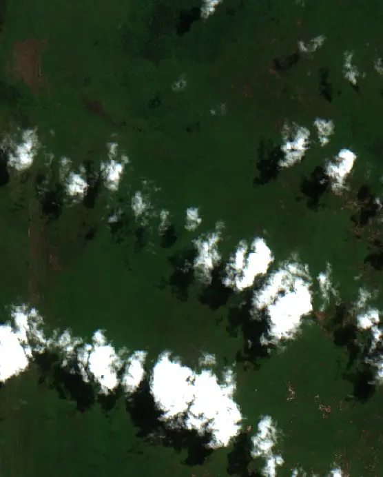 Before — Kotawaringin Barat (Sentinel-2, 2026-08-25)