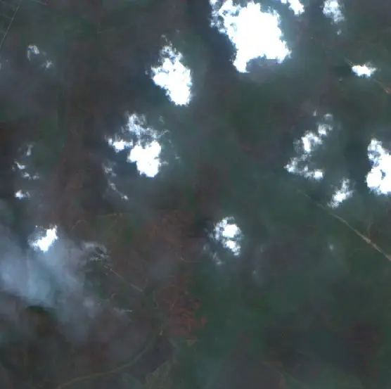 After — Kapuas (Sentinel-2, 2026-10-01)