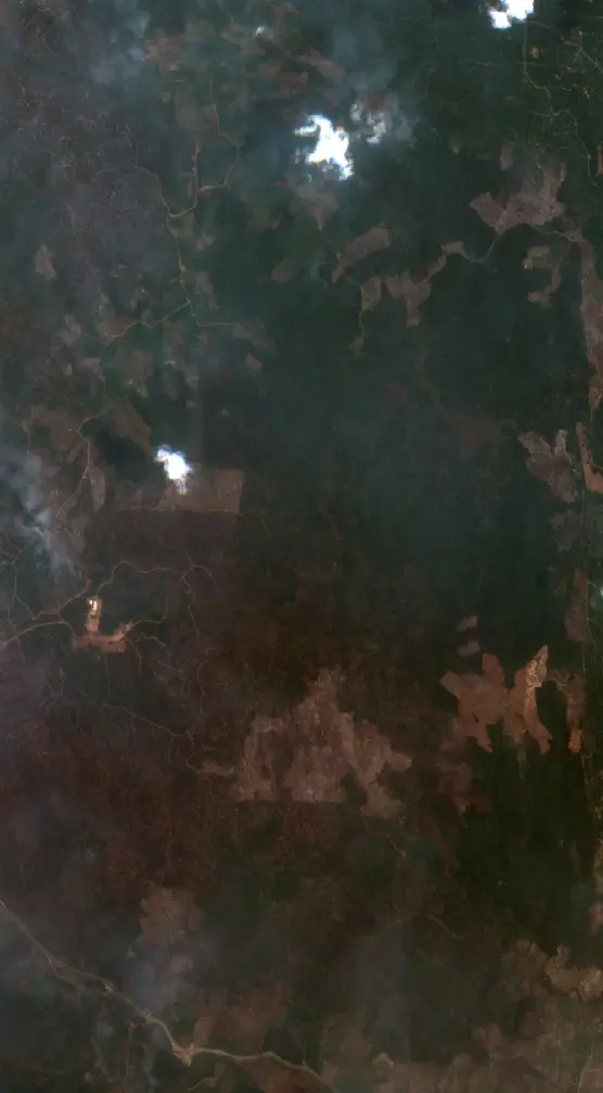 After — Paser (Sentinel-2, 2026-10-08)