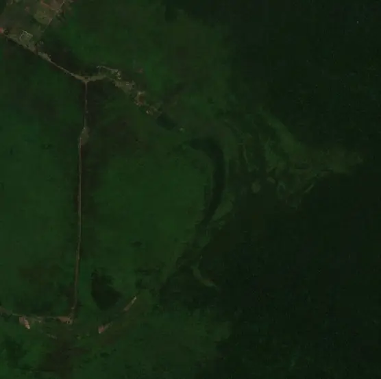 Before — Berbak (Sentinel-2, 2026-09-03)