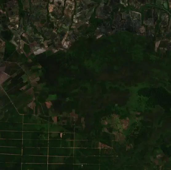 Before — Paser (Sentinel-2, 2026-08-17)