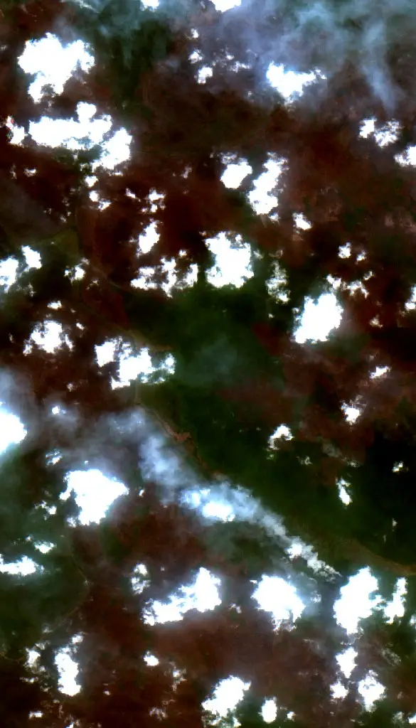 After —  (Sentinel-2, 2026-10-14)