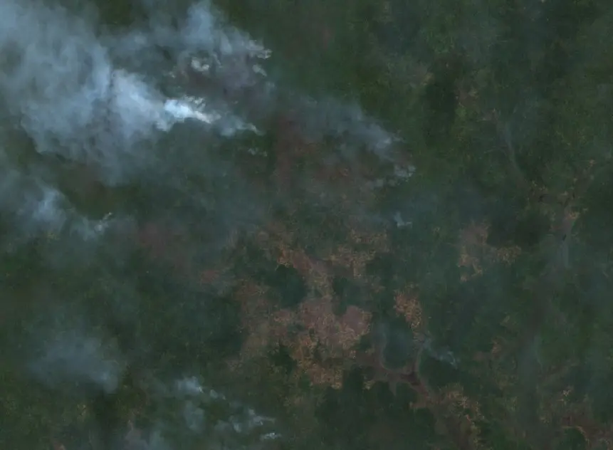After — Merauke (Sentinel-2, 2026-10-05)