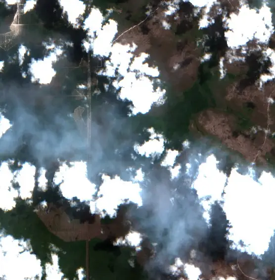 Before — Kotawaringin Timur (Sentinel-2, 2026-09-14)