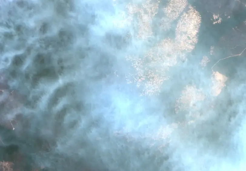 Before — Kotawaringin Barat (Sentinel-2, 2026-09-19)