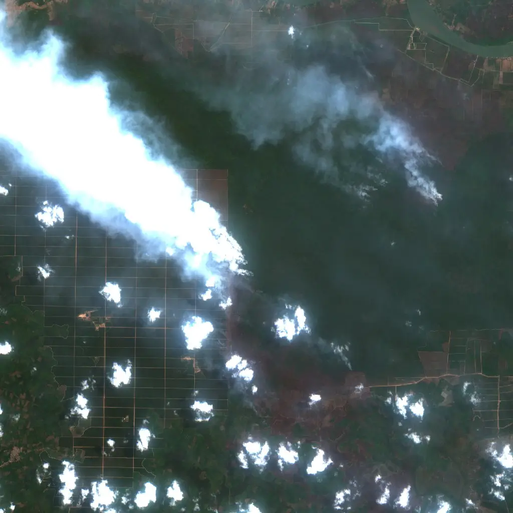 Before — Gelumbang (Sentinel-2, 2026-09-08)