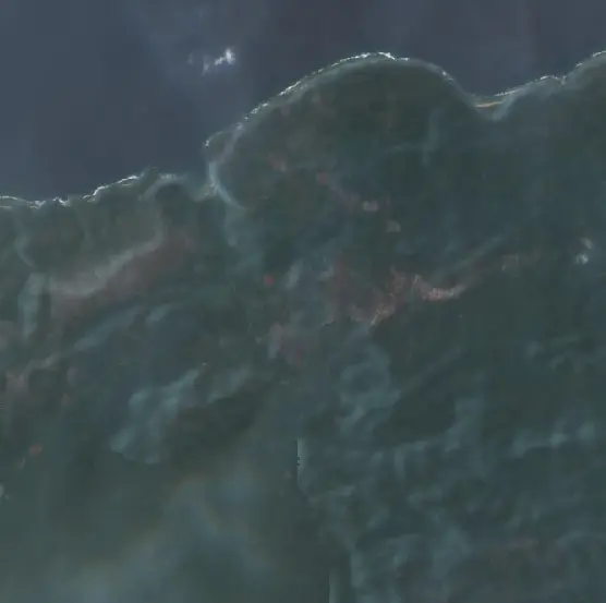 After — Halmahera Timur (Sentinel-2, 2026-10-11)
