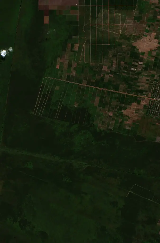 Before —  (Sentinel-2, 2026-08-07)