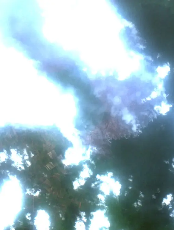After — Kotawaringin Timur (Sentinel-2, 2026-10-04)
