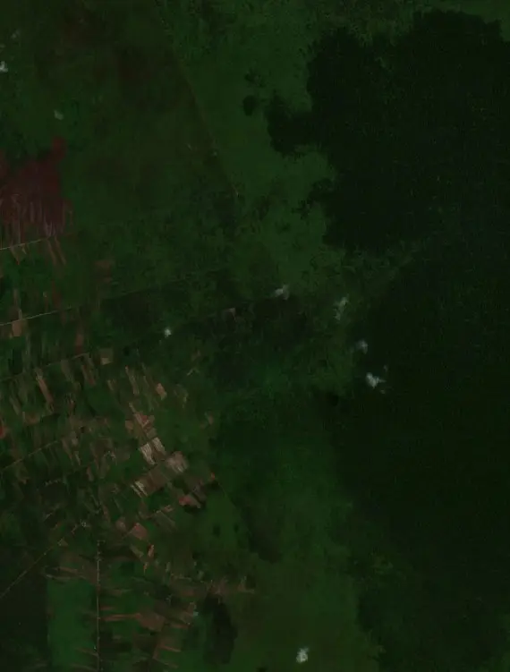 Before — Kotawaringin Timur (Sentinel-2, 2026-08-20)