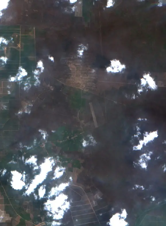 After — Mesuji (Sentinel-2, 2026-10-20)