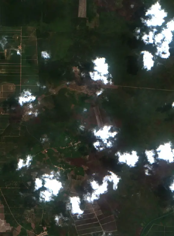 Before — Mesuji (Sentinel-2, 2026-09-08)