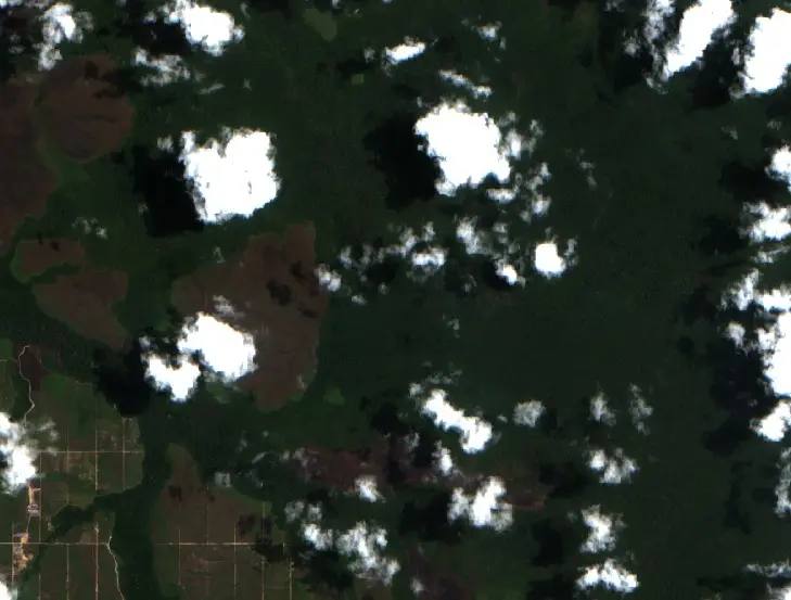 Before —  (Sentinel-2, 2026-09-10)
