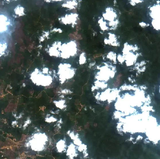 Before — Kutai Kartanegara (Sentinel-2, 2026-08-29)
